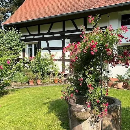 Gaestezimmer Flora Hanauerland - Kunst & Nahe Strassburg Kehl