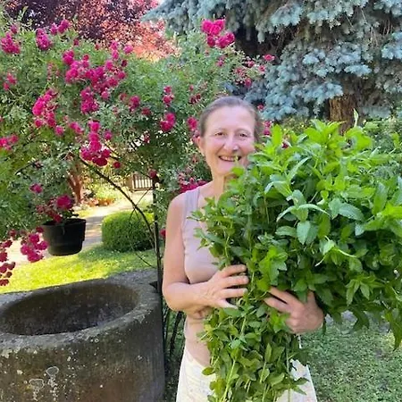 Gaestezimmer Flora Hanauerland - Kunst & Nahe Strassburg Kehl
