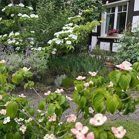 Gaestezimmer Flora Hanauerland - Kunst & Nahe Strassburg 3*