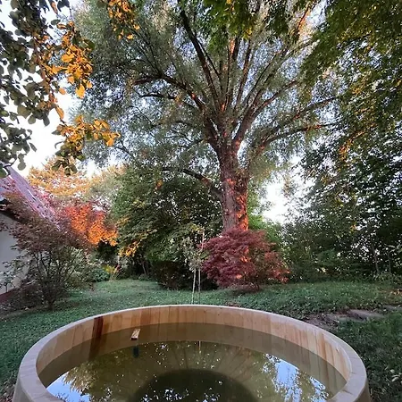 Gaestezimmer Flora Hanauerland - Kunst & Nahe Strassburg 3*